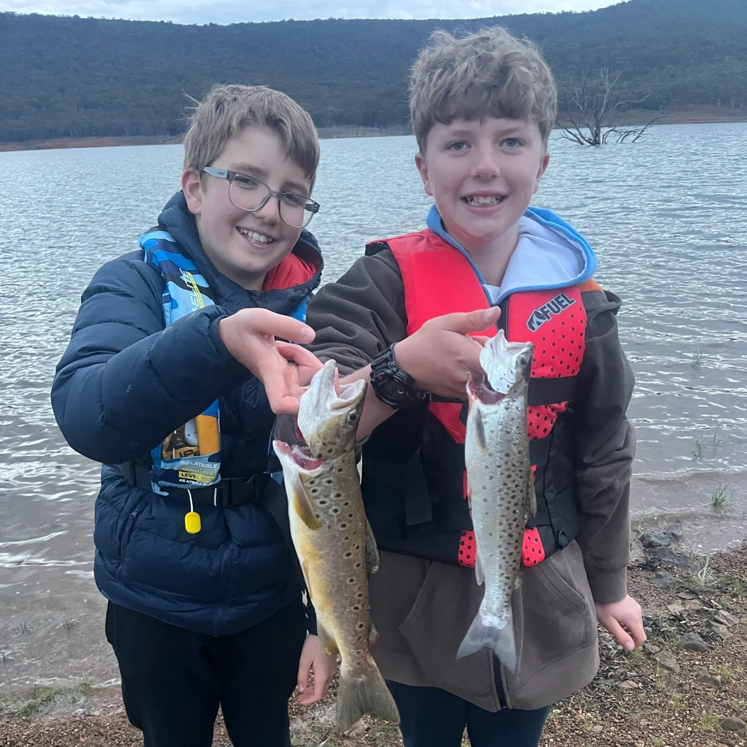 Atlantic salmon caught on Fishbrain