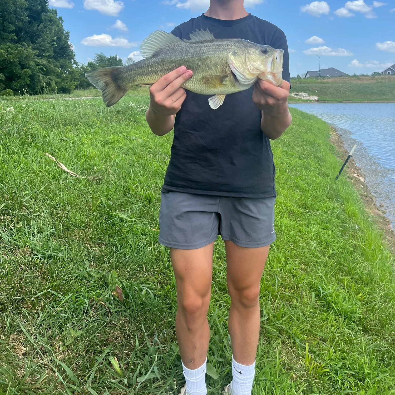 angler catch