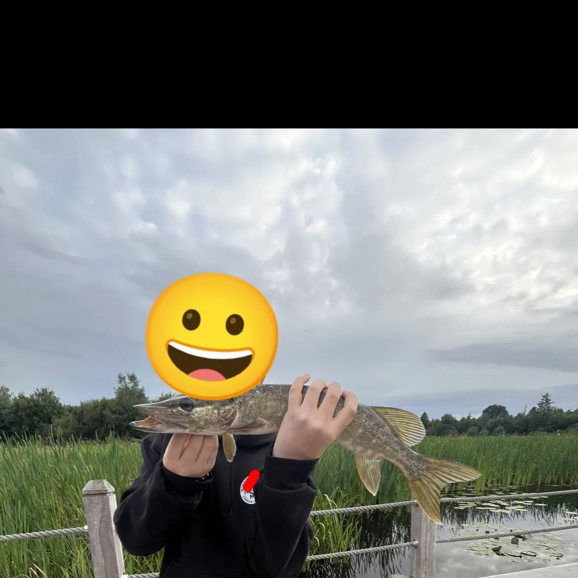 Northern pike caught on Fishbrain