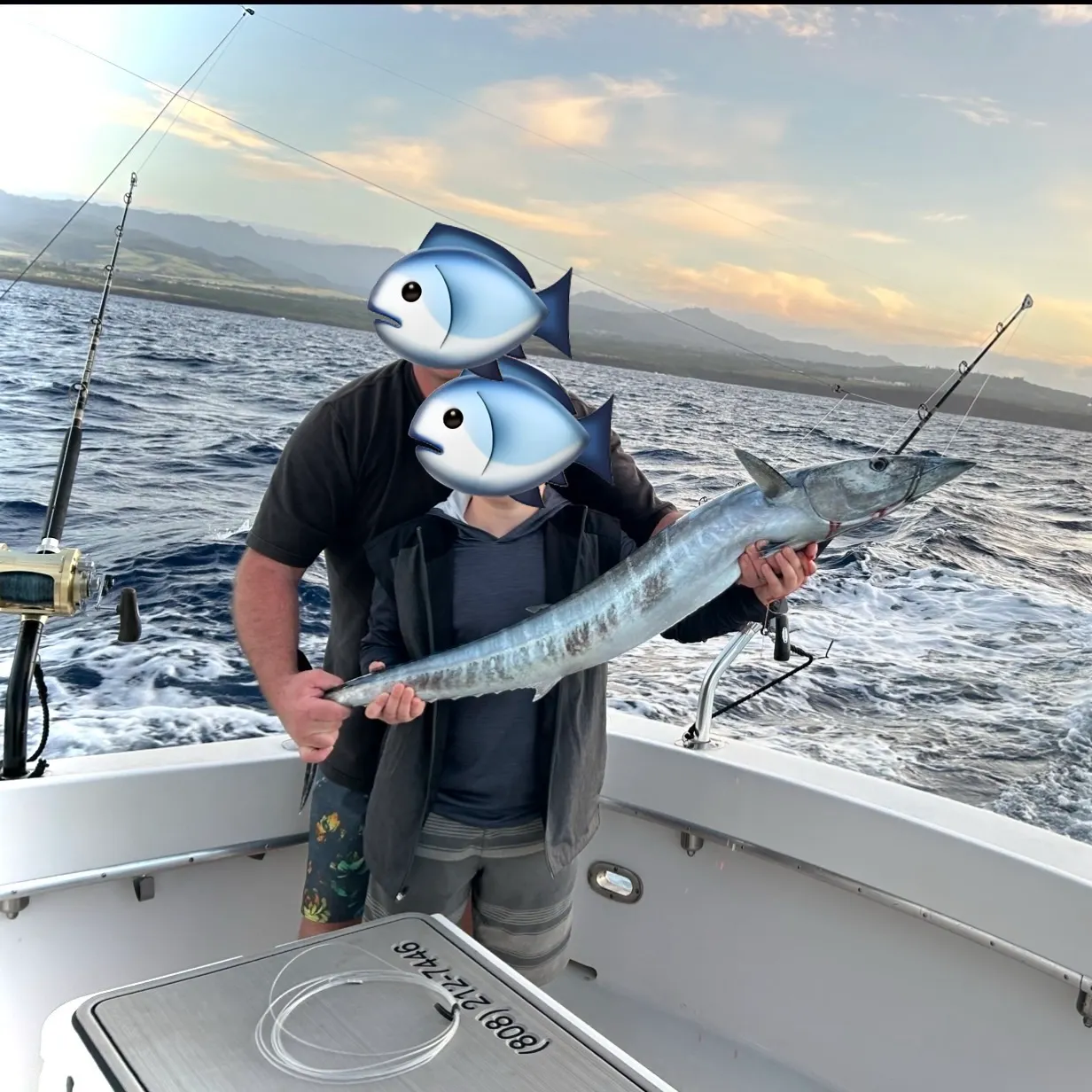 The most recent Wahoo catches on Fishbrain