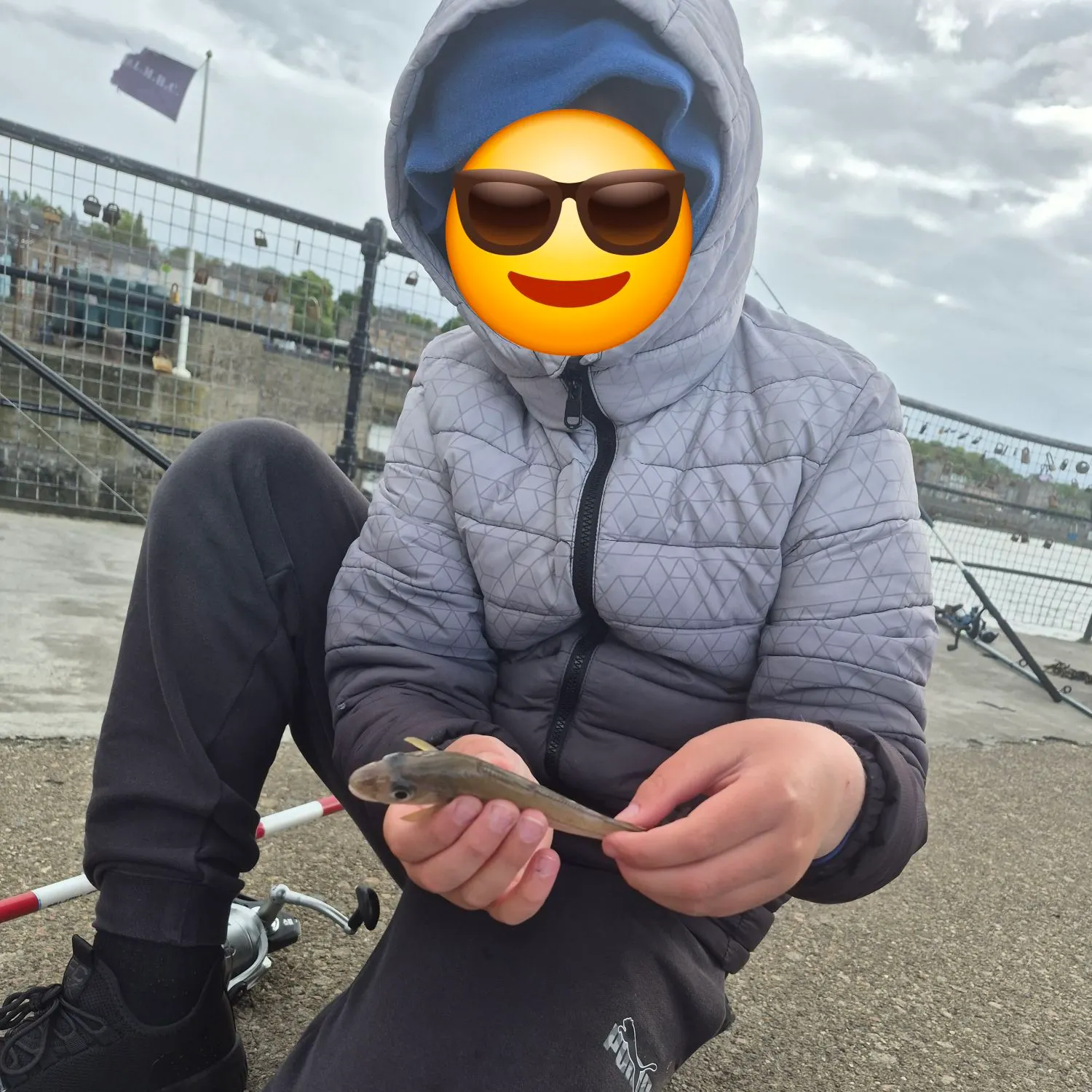 The most recent Pollack catches on Fishbrain