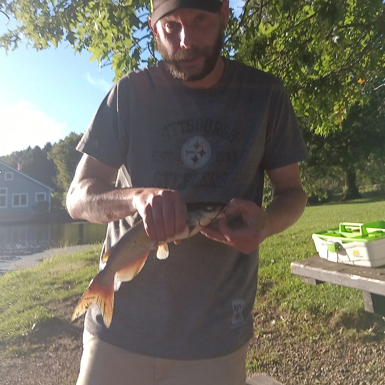 Channel catfish caught on Fishbrain