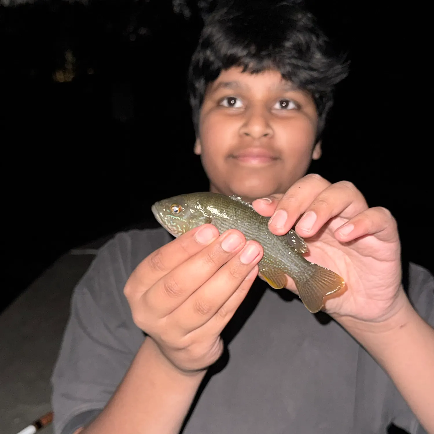 Green sunfish caught on Fishbrain