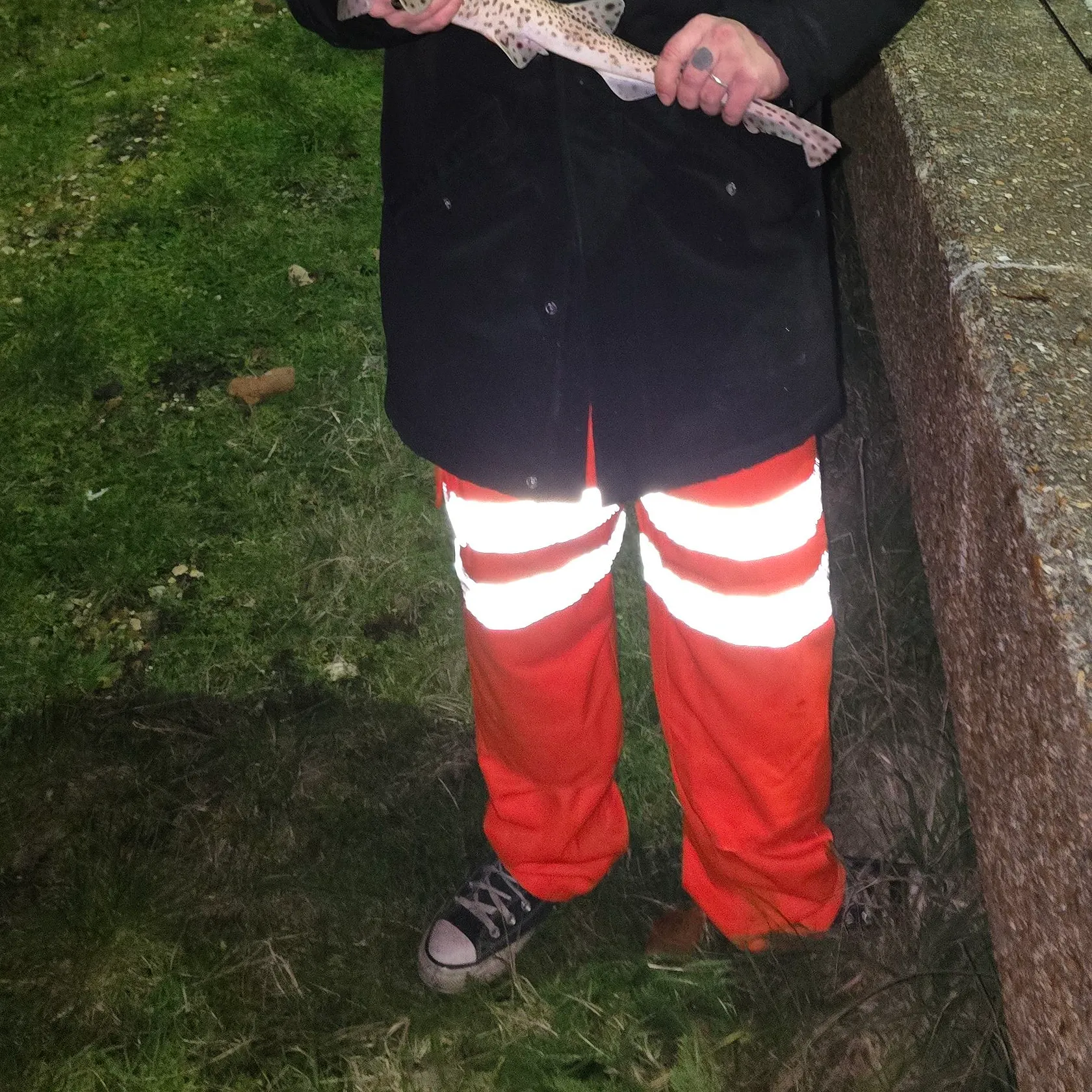 The most recent Lesser spotted dogfish catches on Fishbrain