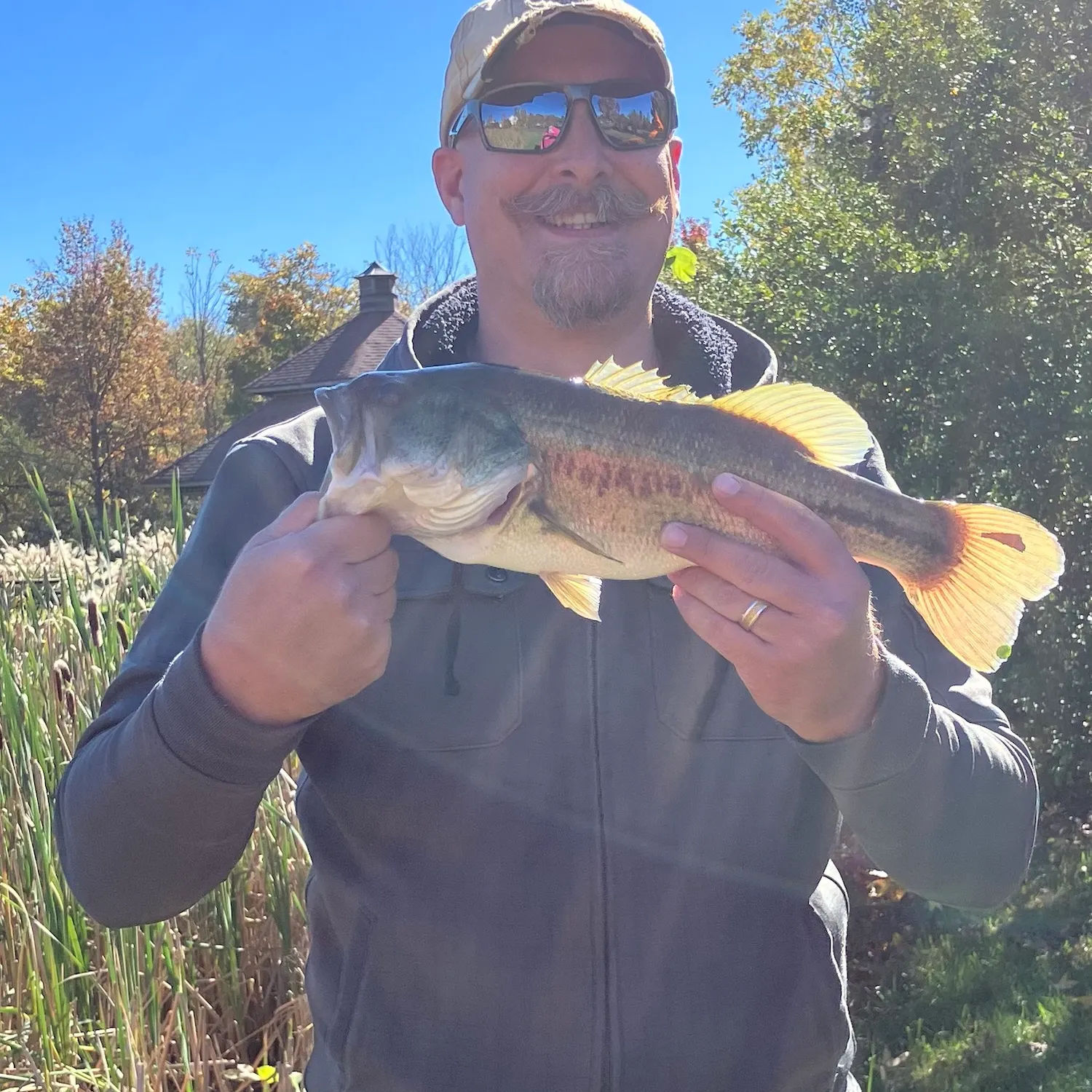 Largemouth bass caught on Fishbrain