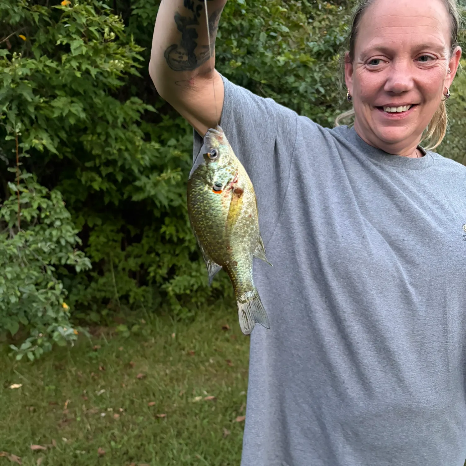 Redear sunfish caught on Fishbrain