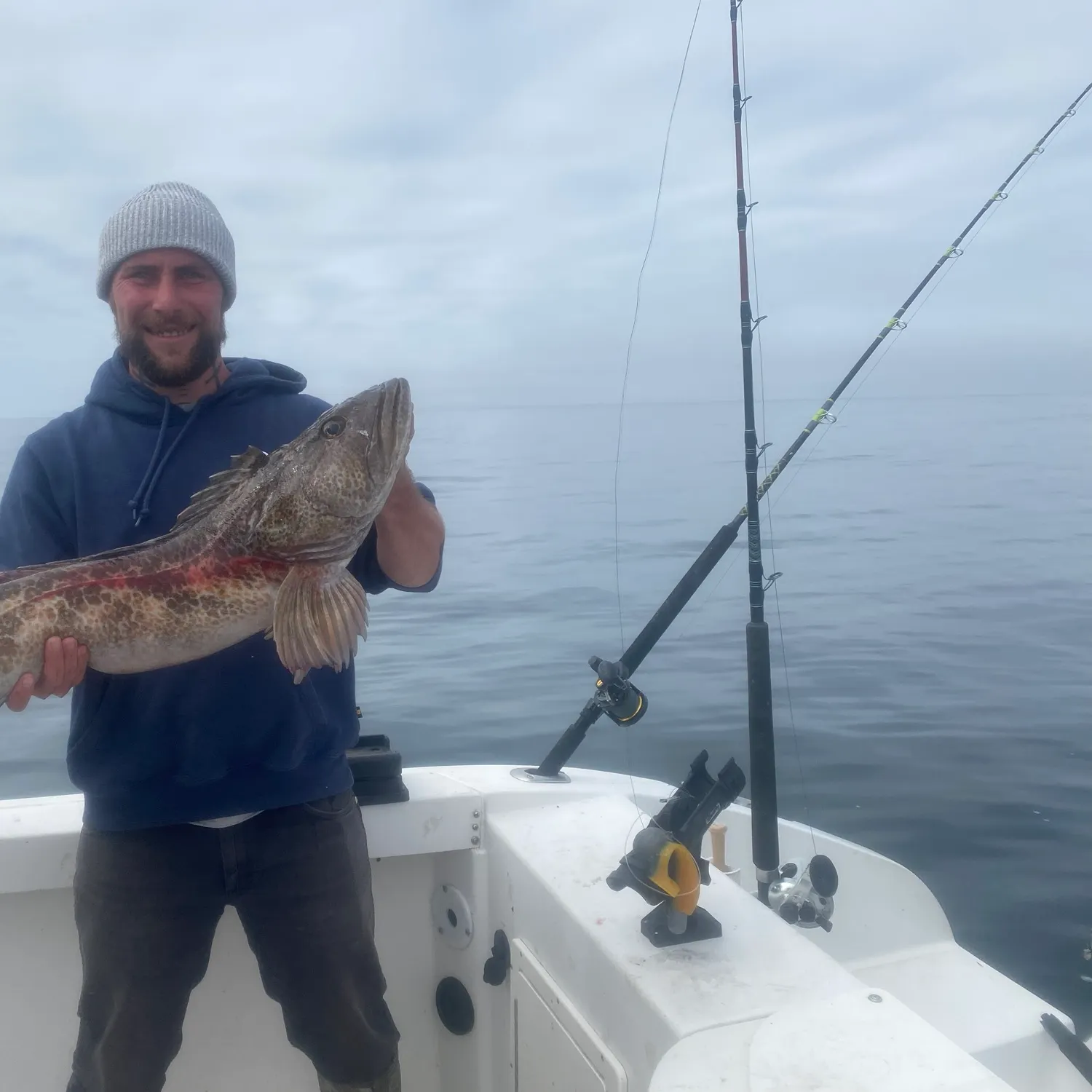 The most recent Lingcod catches on Fishbrain