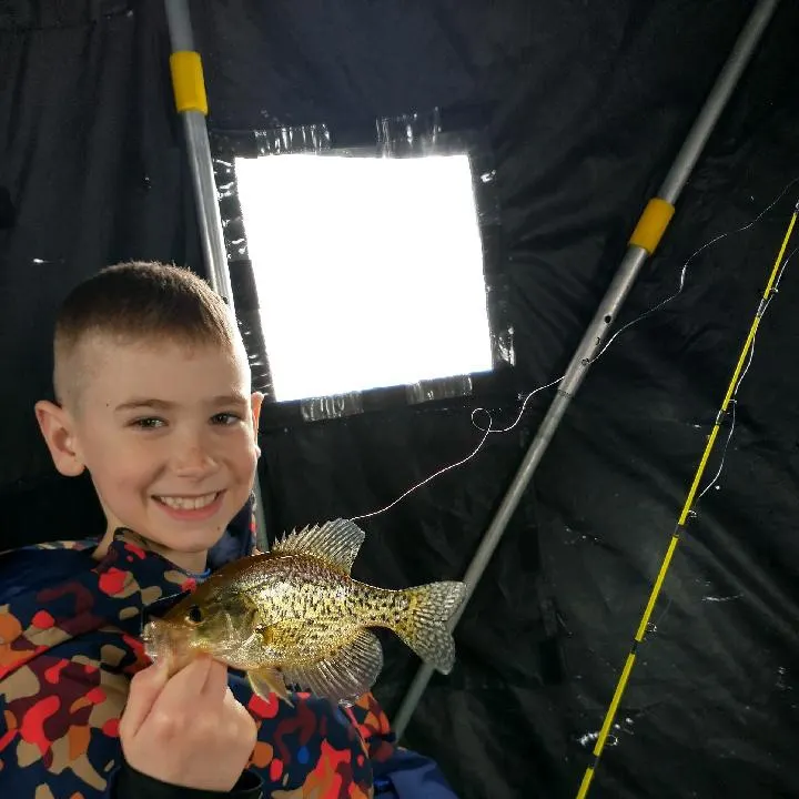 The most recent Black crappie catches on Fishbrain