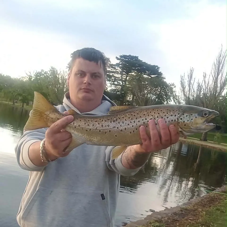 The most recent Sea trout catches on Fishbrain
