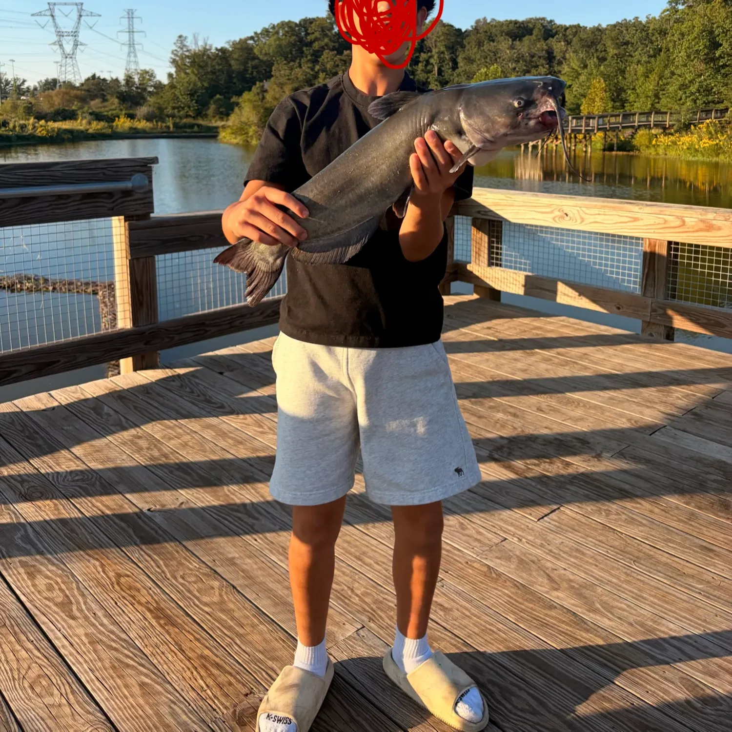 Channel catfish caught on Fishbrain