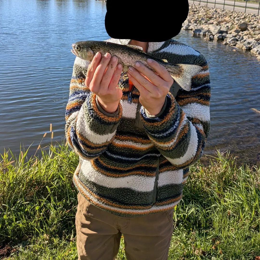 Rainbow trout caught on Fishbrain