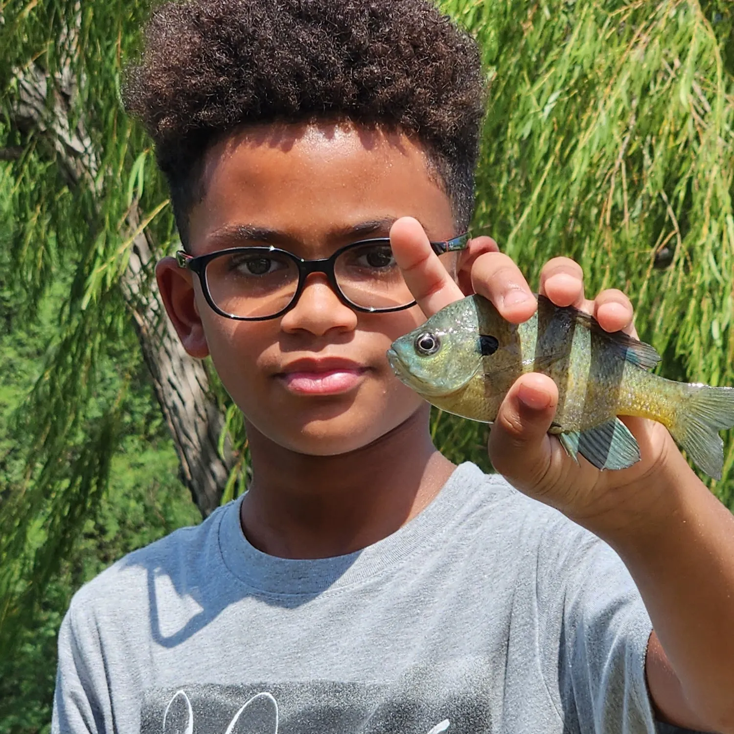 Bluegill caught on Fishbrain