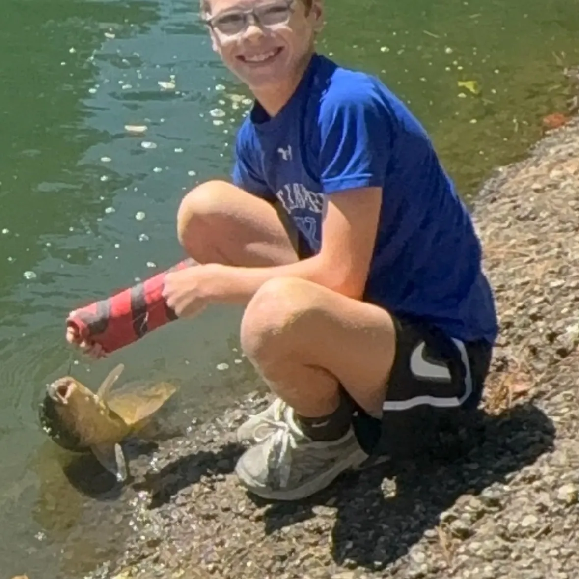 Common carp caught on Fishbrain