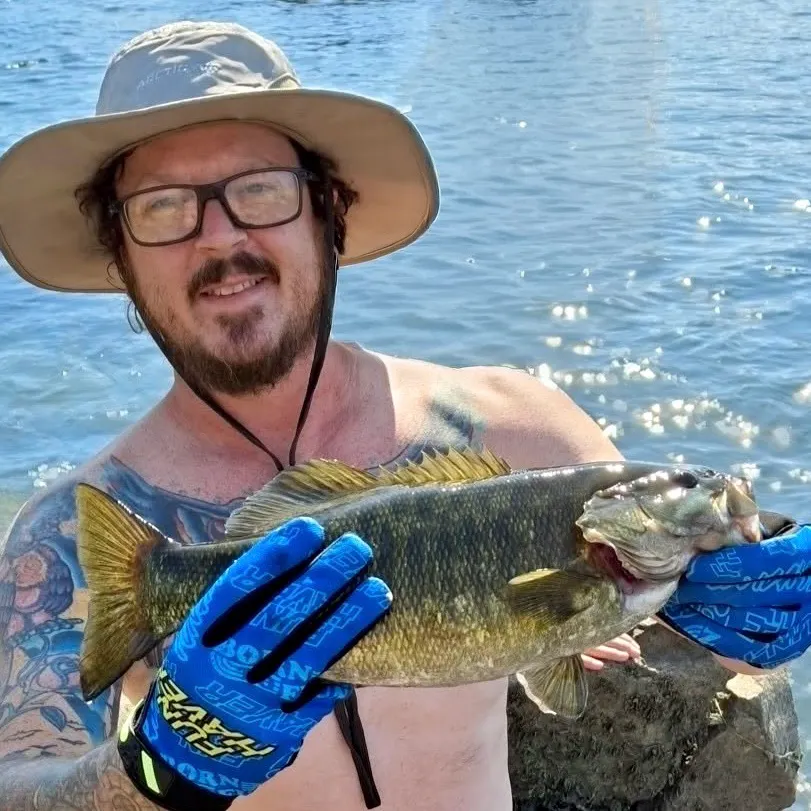 Smallmouth bass caught on Fishbrain