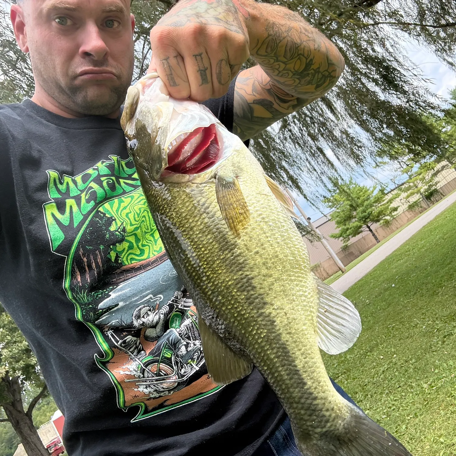 Largemouth bass caught on Fishbrain