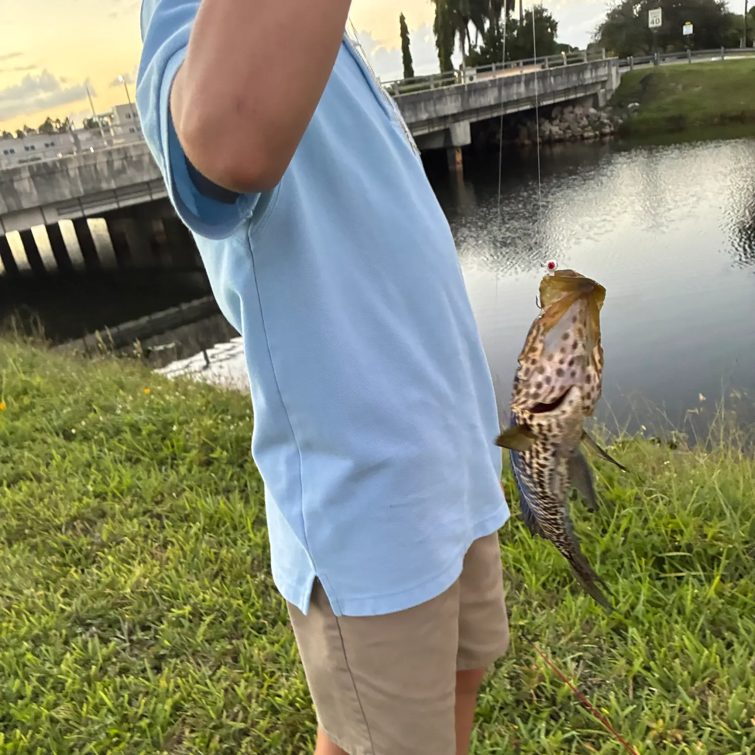 Fish caught on Fishbrain