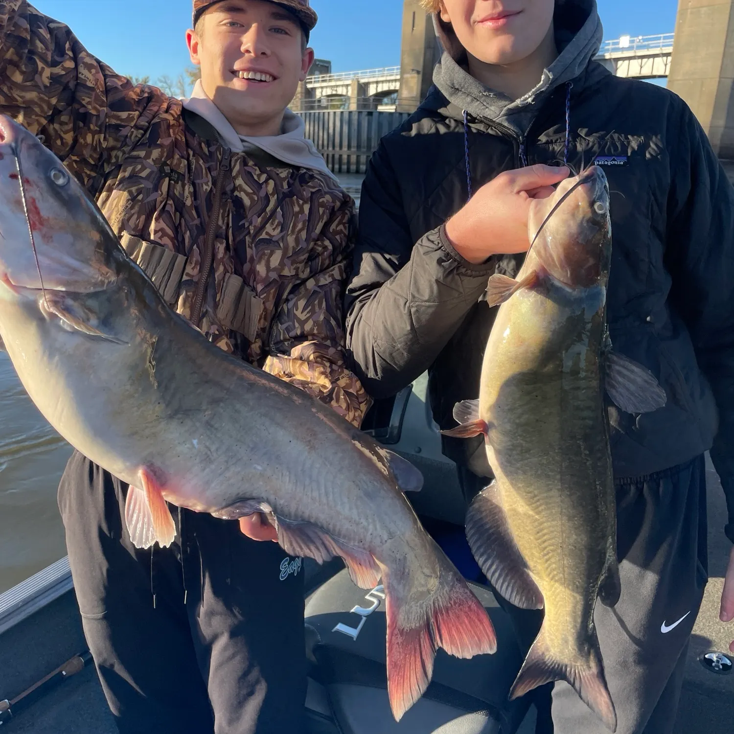 Channel catfish caught on Fishbrain