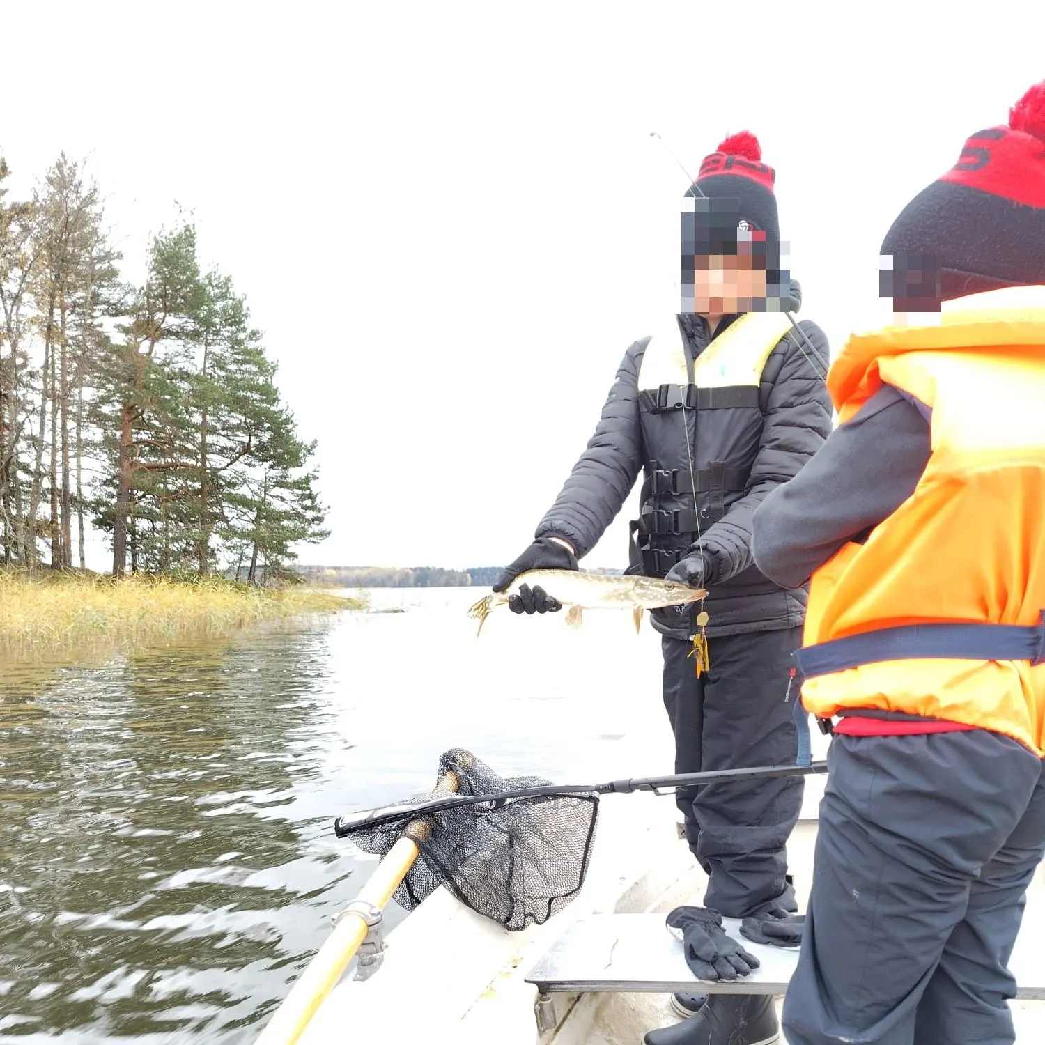 Northern pike caught on Fishbrain