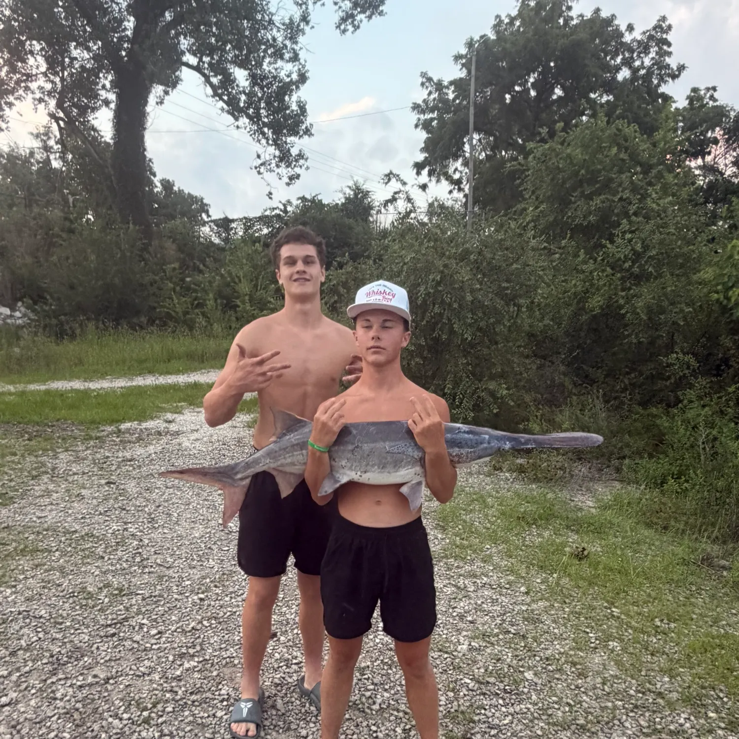 The most recent Paddlefish catches on Fishbrain