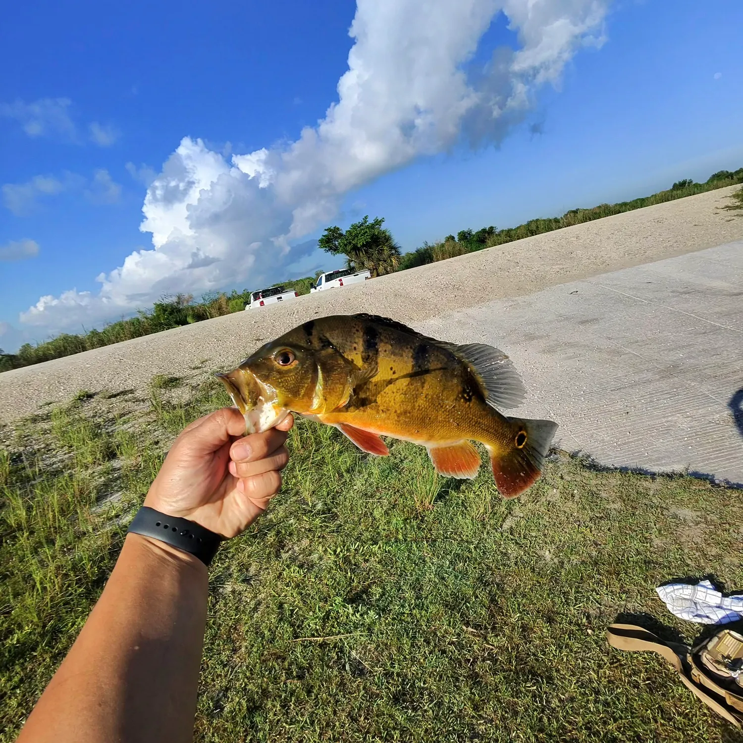 catch
