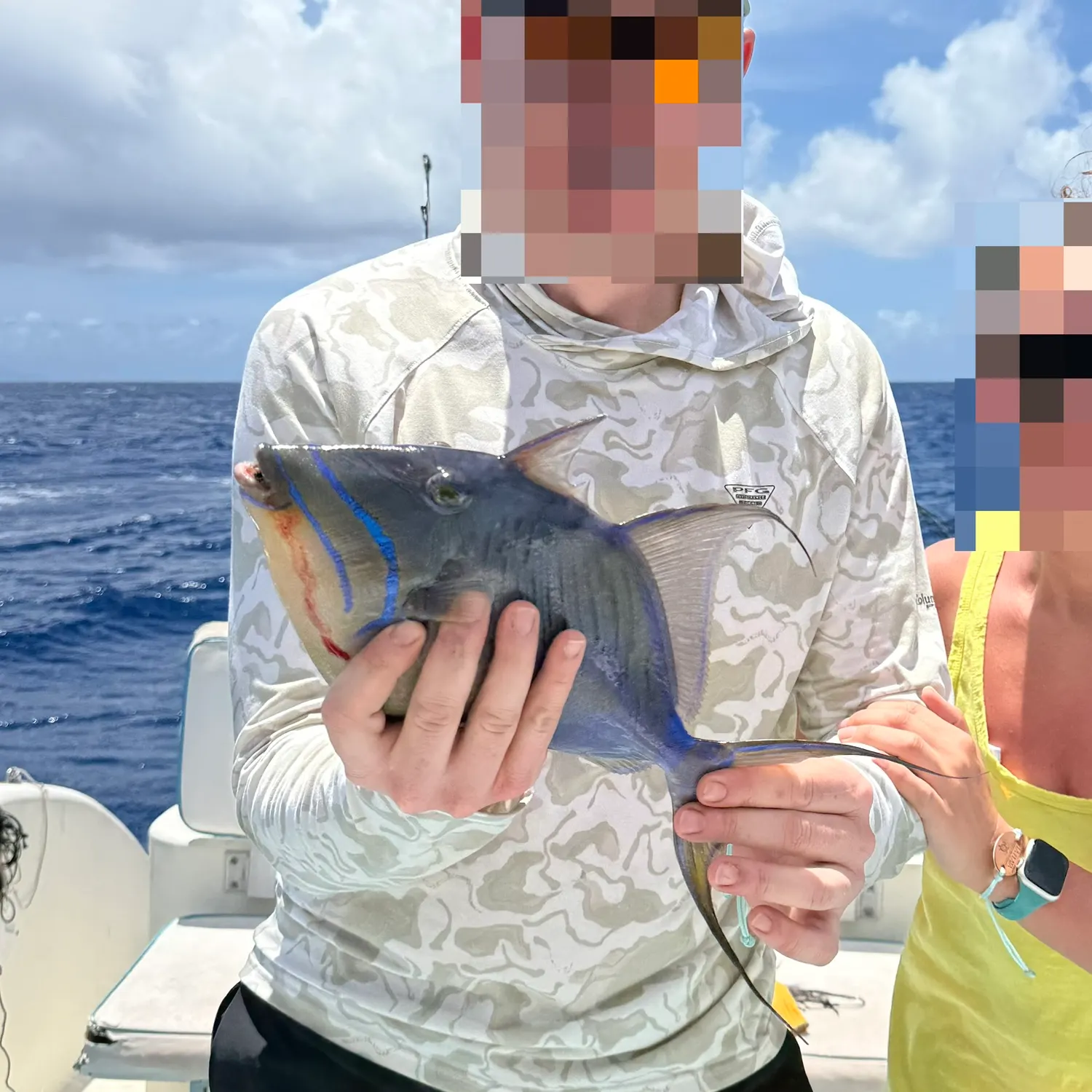 The most recent Queen triggerfish catches on Fishbrain