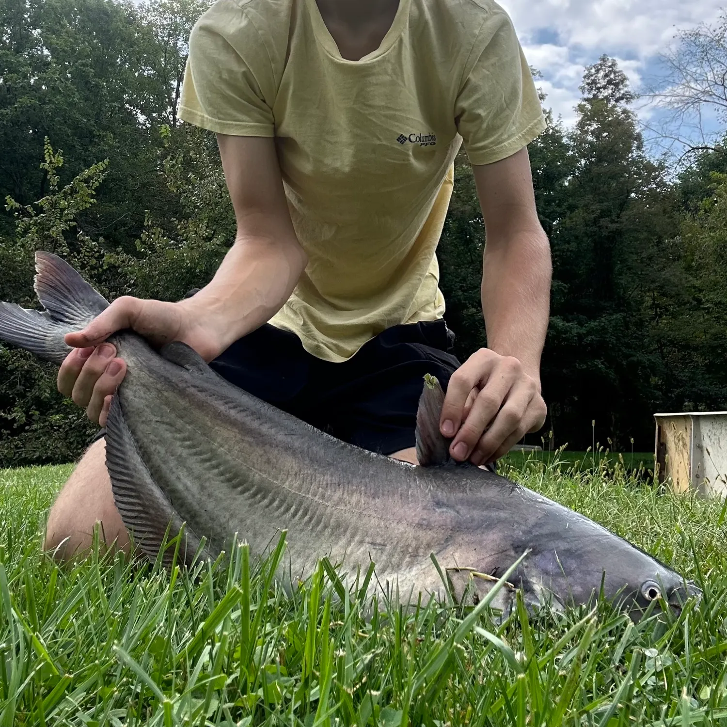 Blue catfish caught on Fishbrain