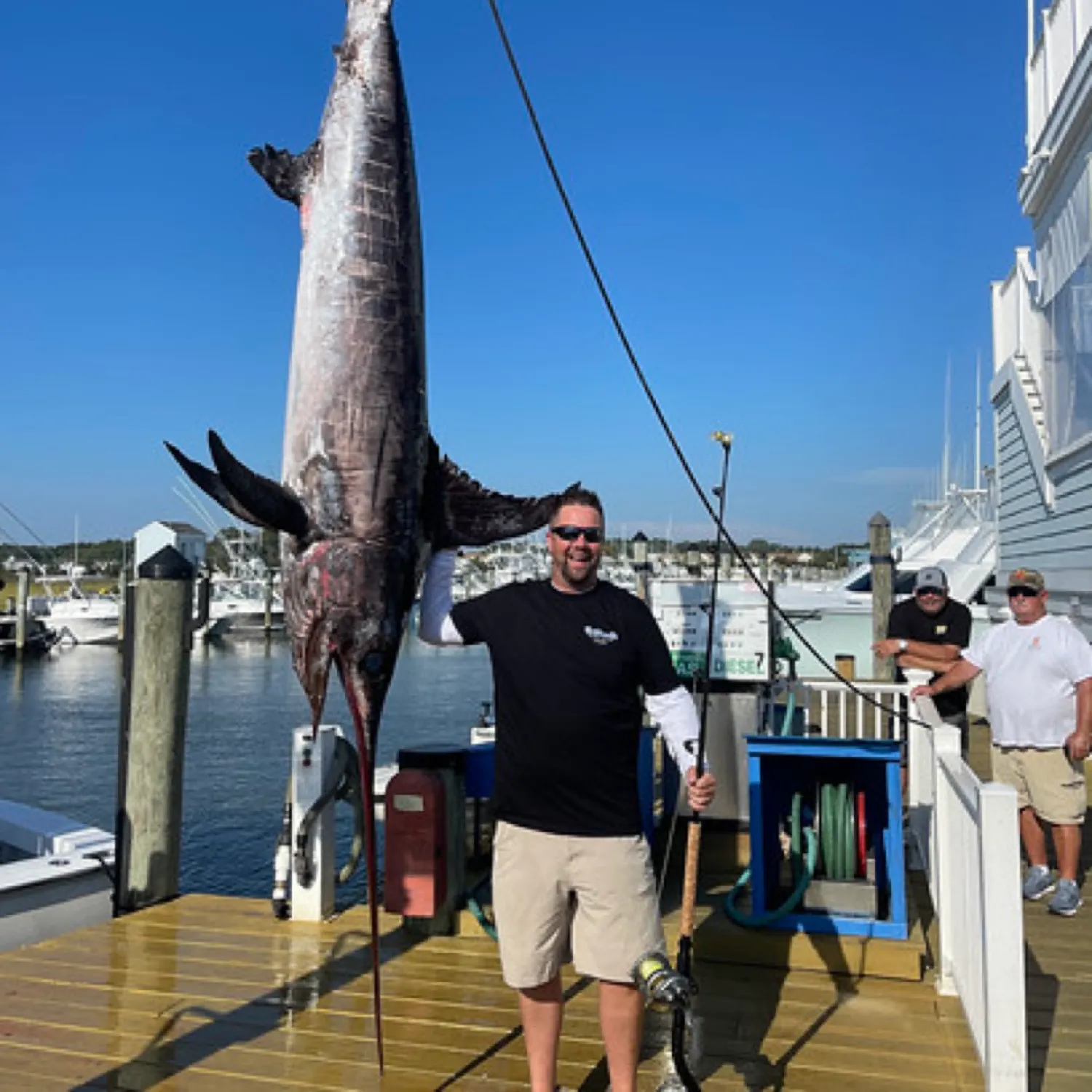 The most recent Swordfish catches on Fishbrain