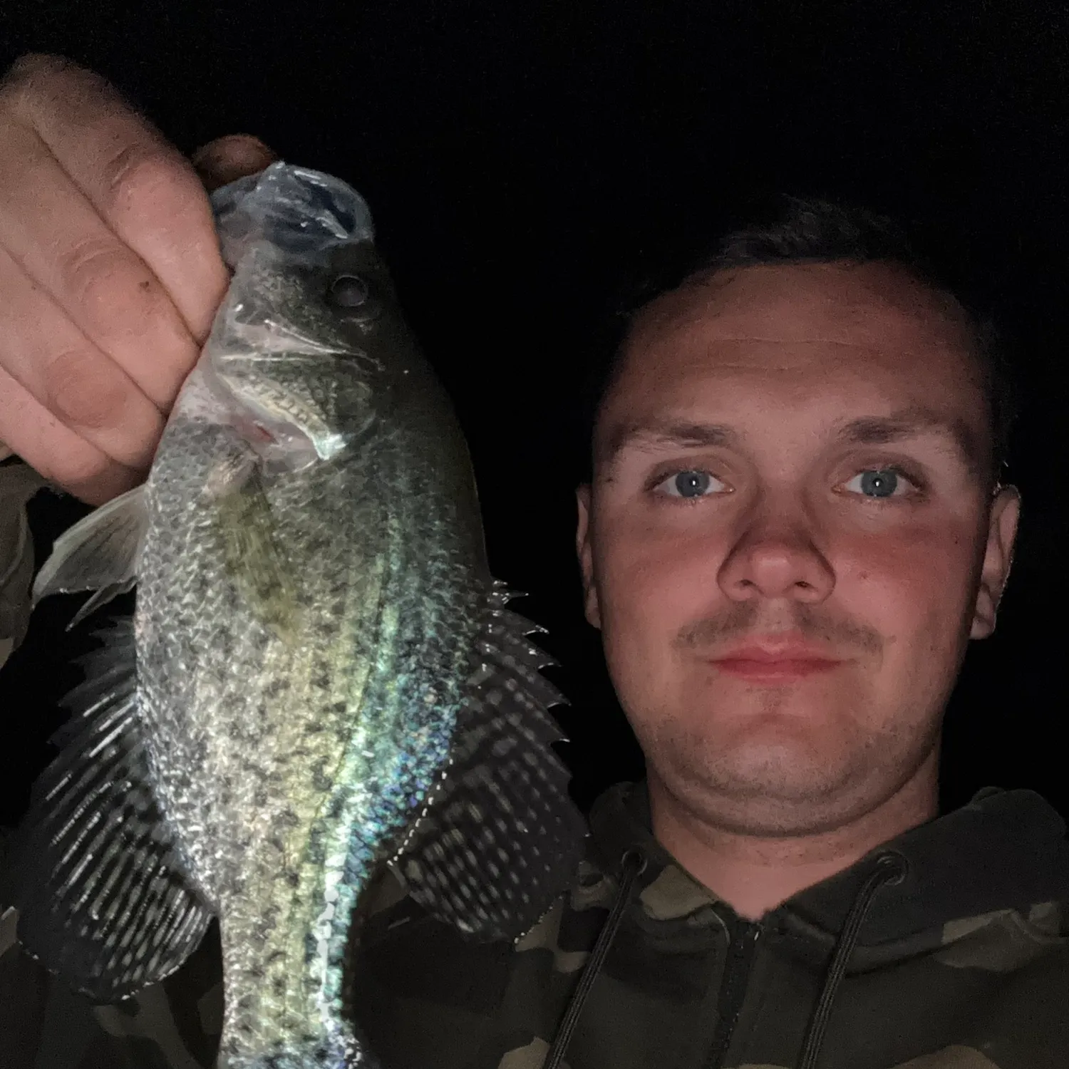 Black crappie caught on Fishbrain