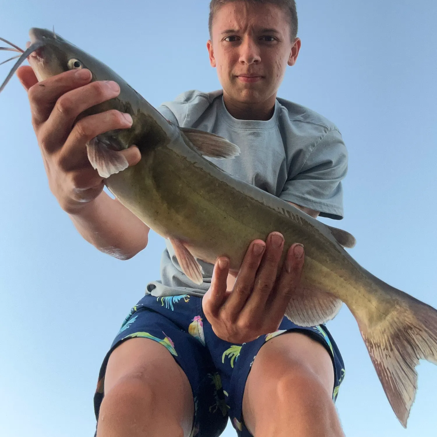 catch