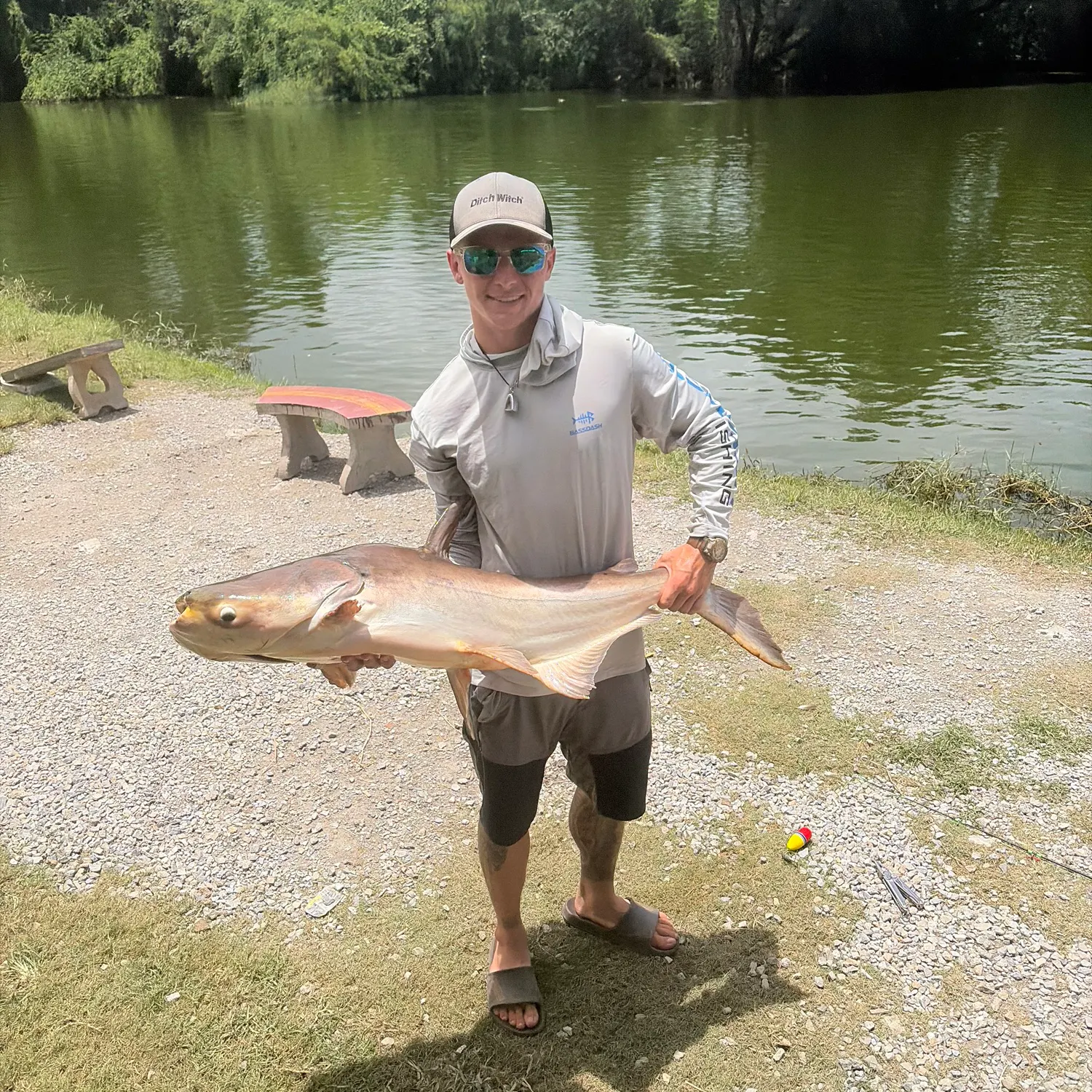 Mekong giant catfish caught on Fishbrain