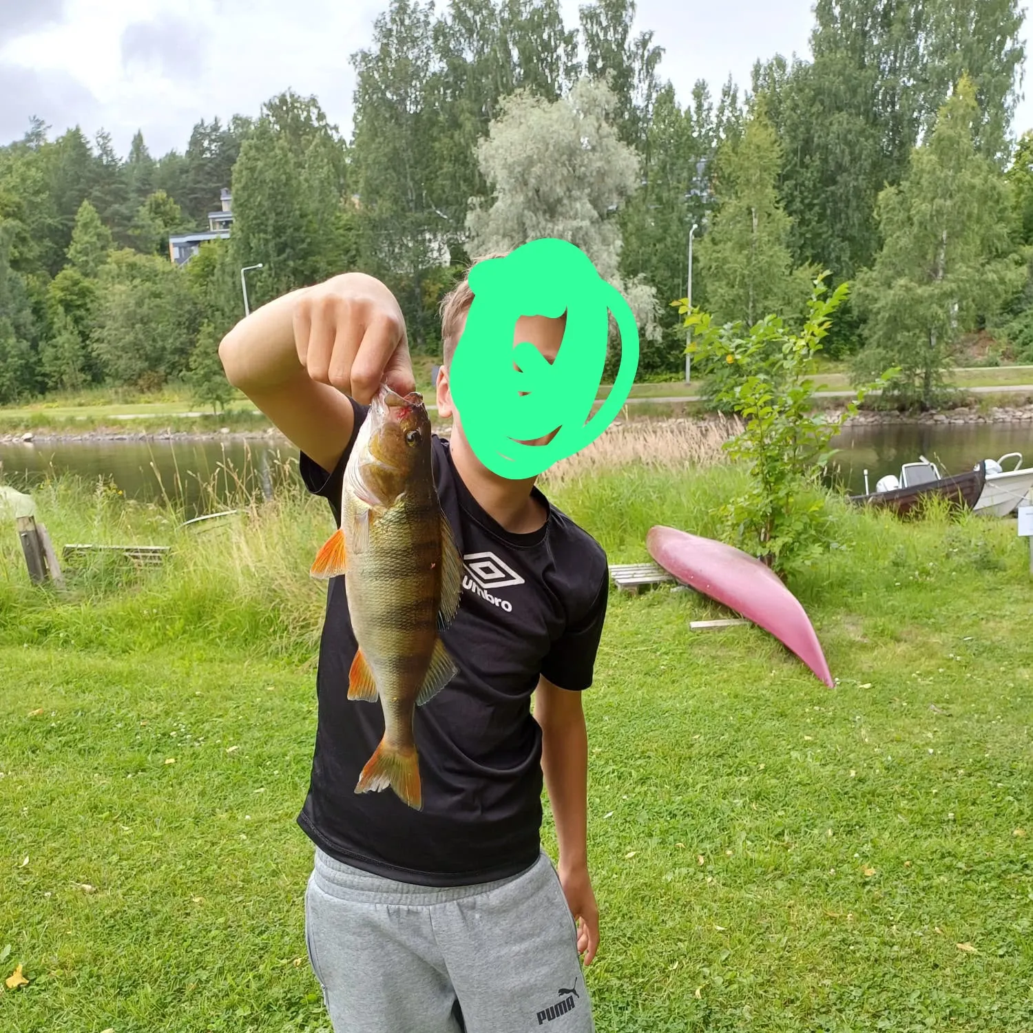 European perch caught on Fishbrain