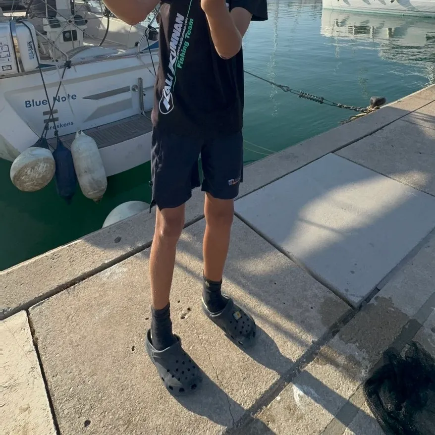 Leerfish caught on Fishbrain