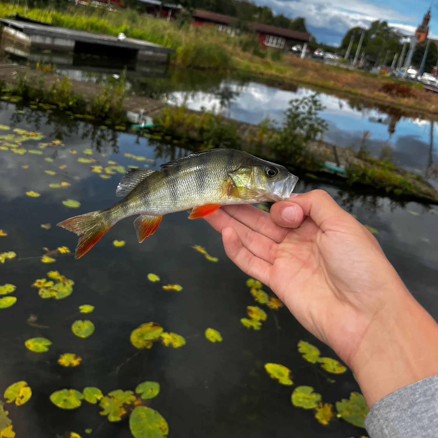 catch