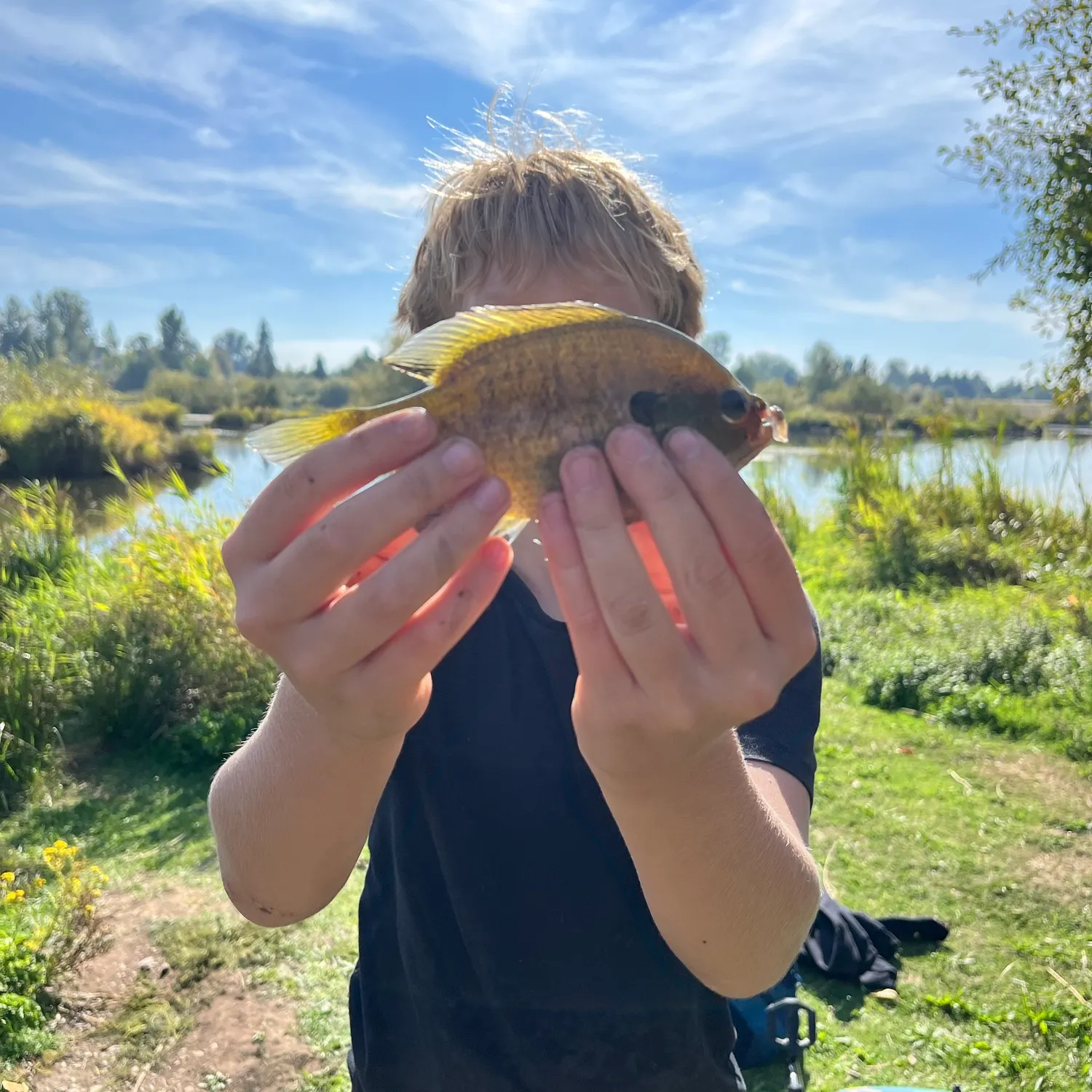 The most recent Redbreast sunfish catches on Fishbrain