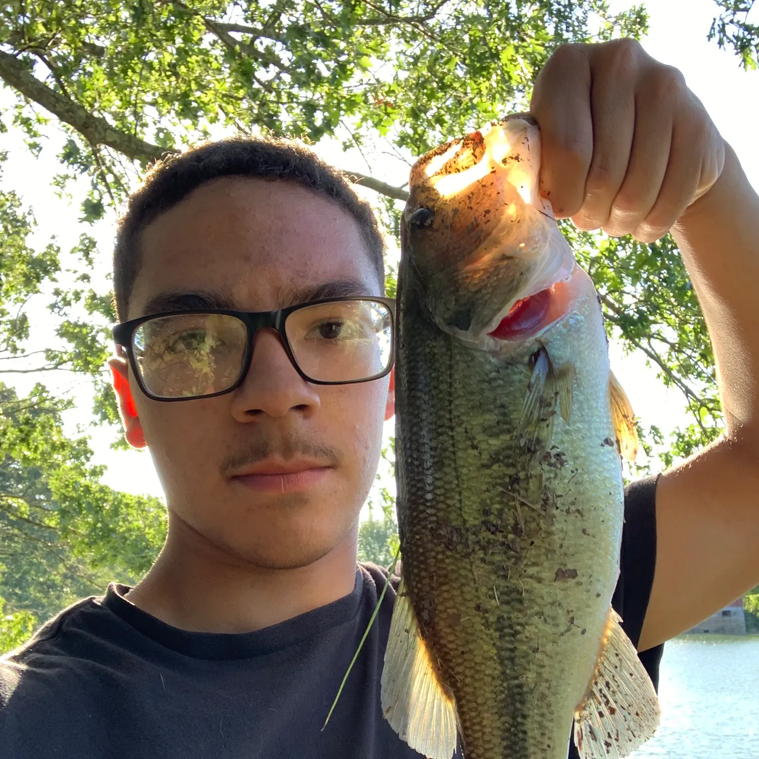 Largemouth bass caught on Fishbrain