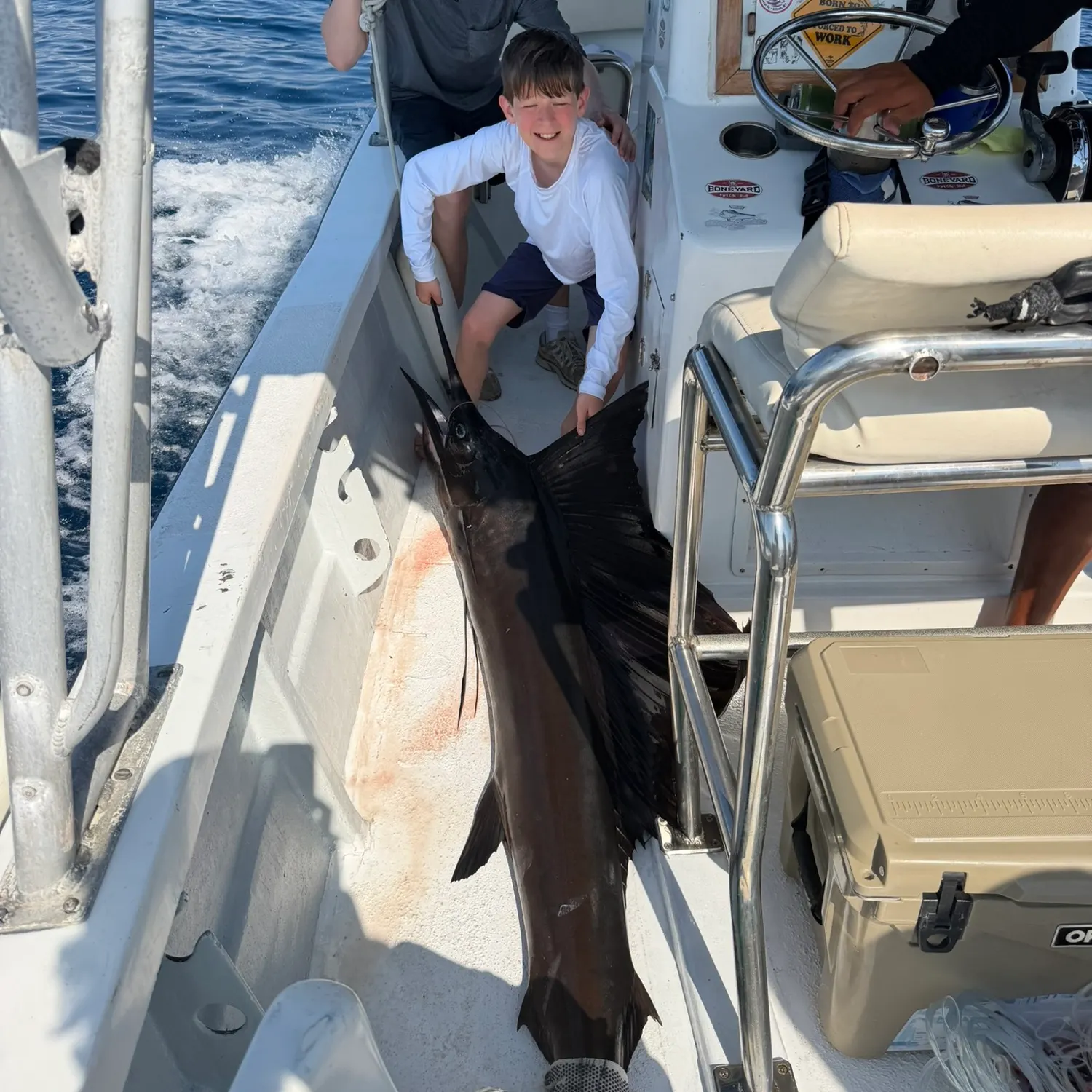 The most recent Indo-Pacific sailfish catches on Fishbrain