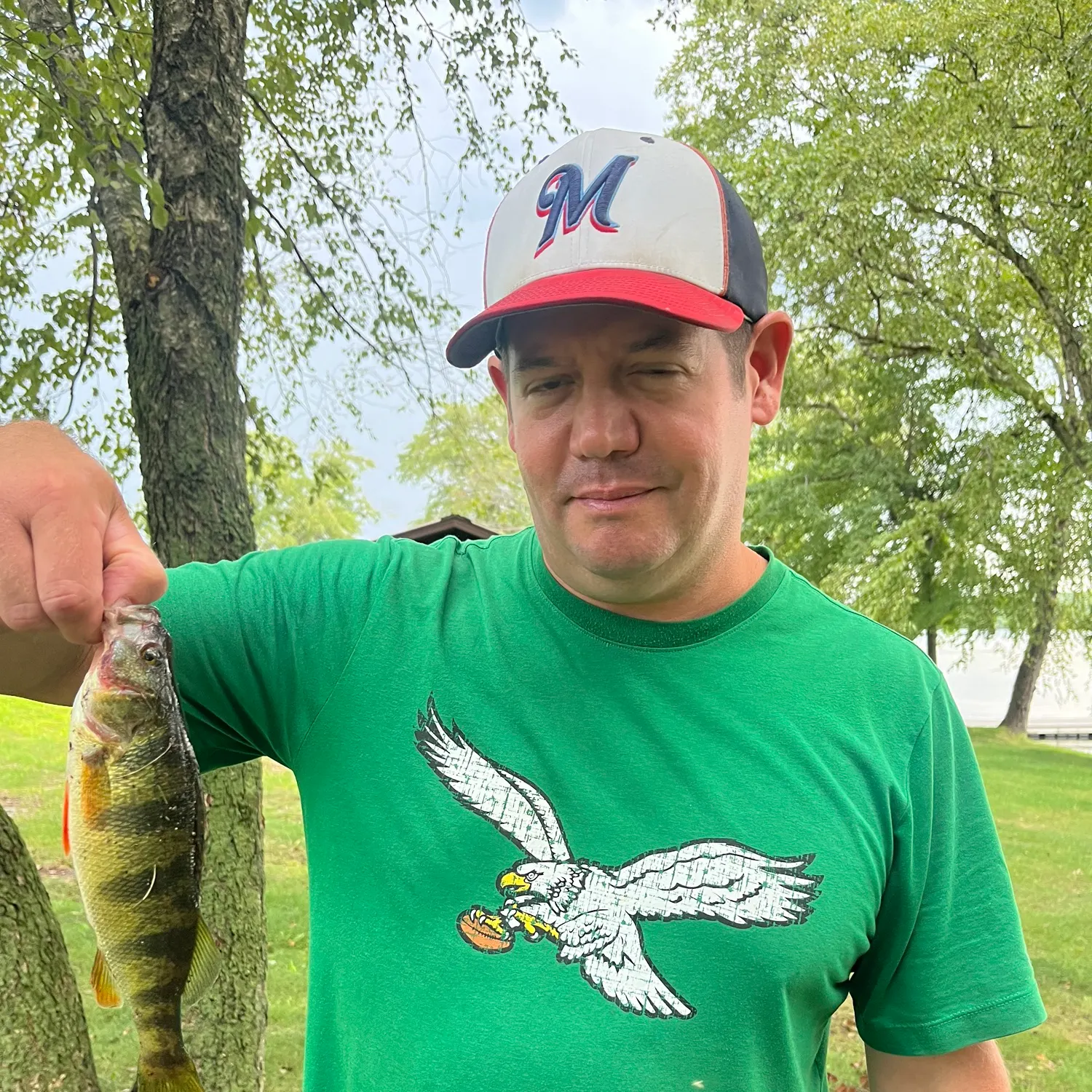 Yellow perch caught on Fishbrain