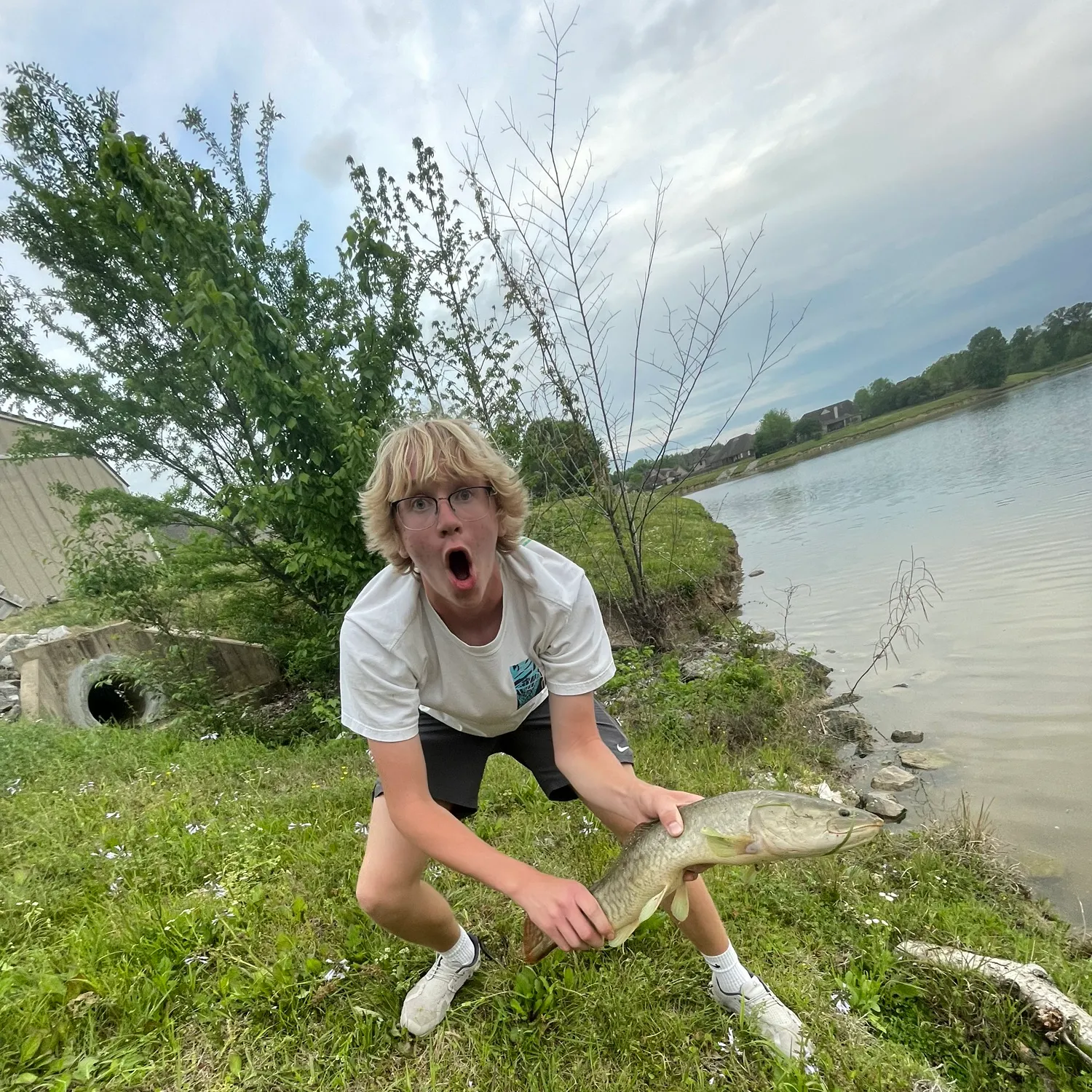 The most recent Eyetail bowfin catches on Fishbrain