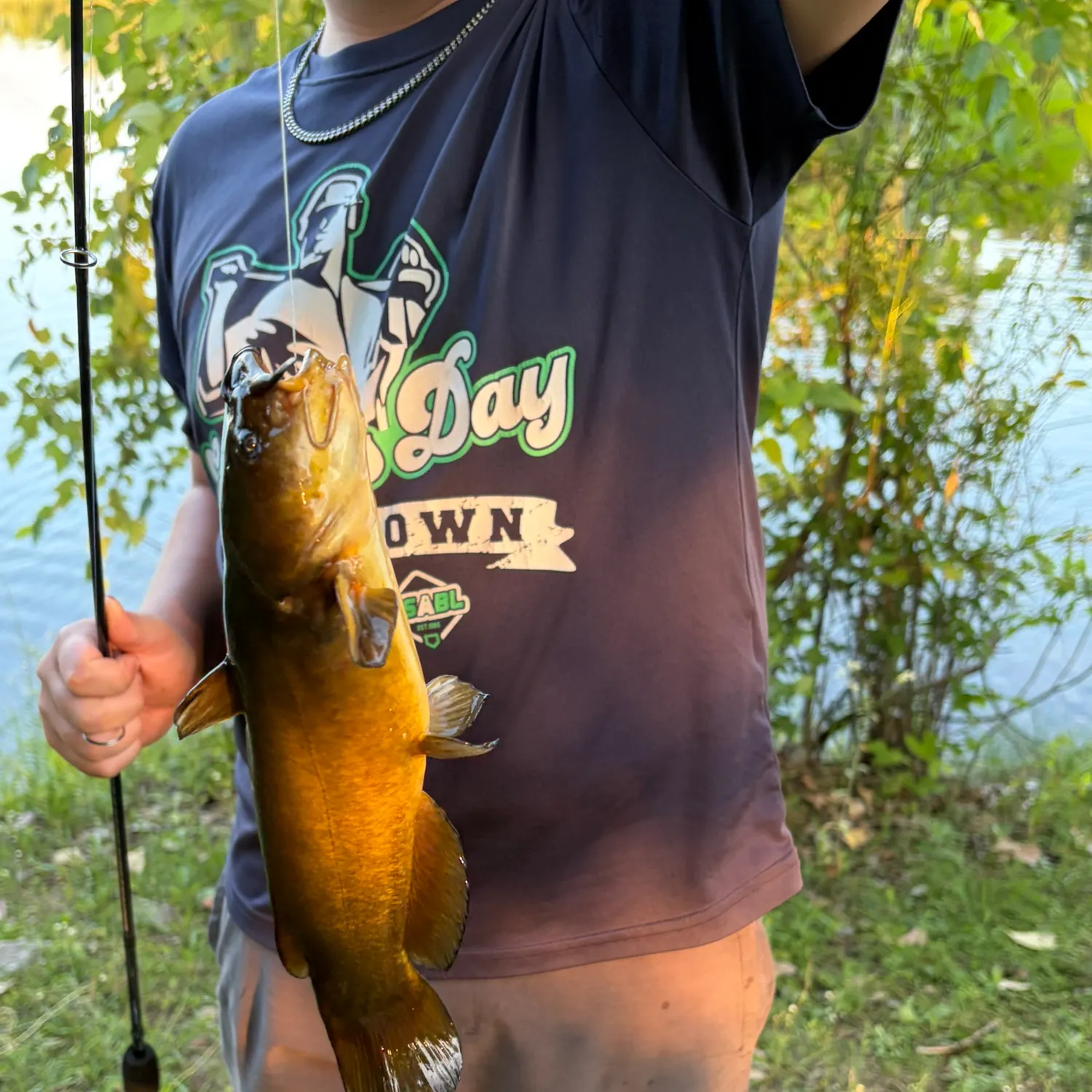Yellow bullhead caught on Fishbrain