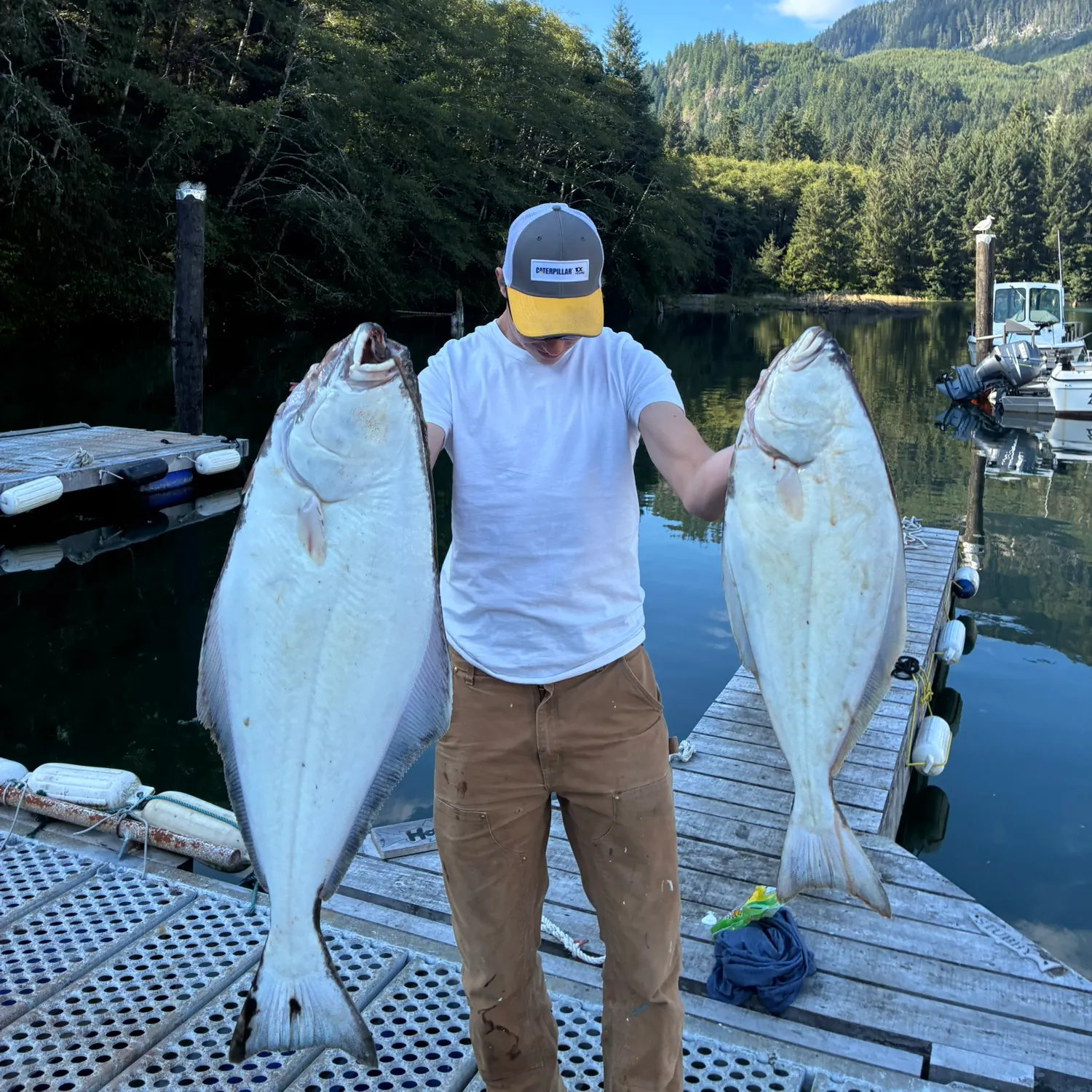 Pacific halibut caught on Fishbrain