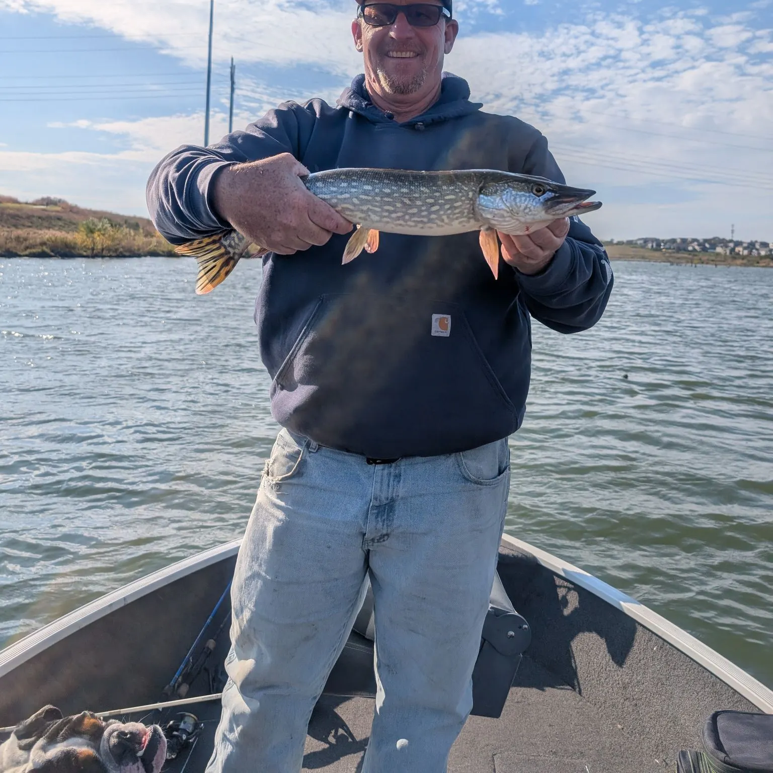 Northern pike caught on Fishbrain