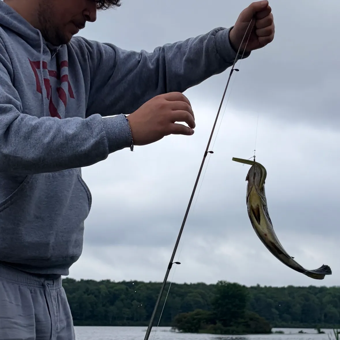 Smallmouth bass caught on Fishbrain