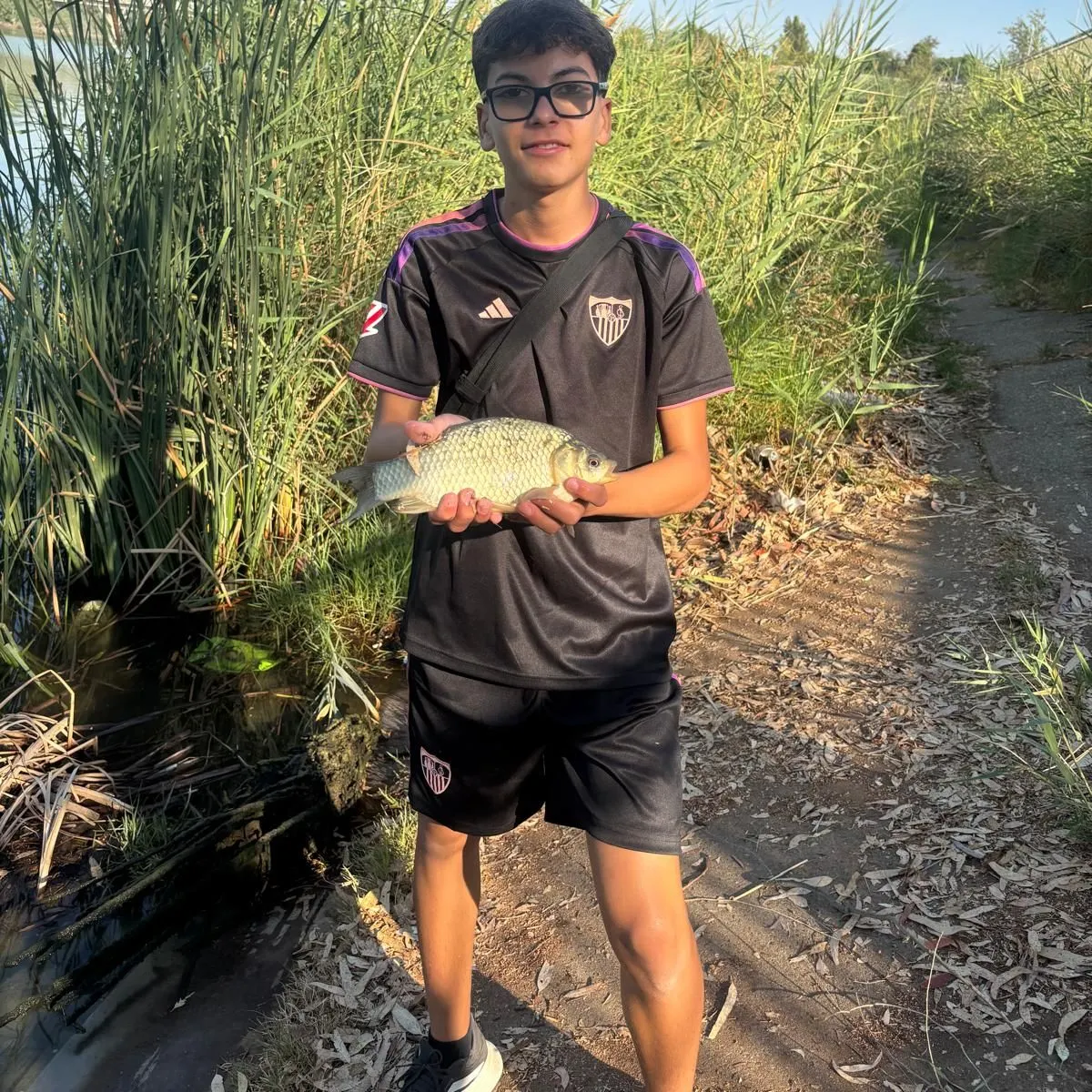 Crucian carp caught on Fishbrain