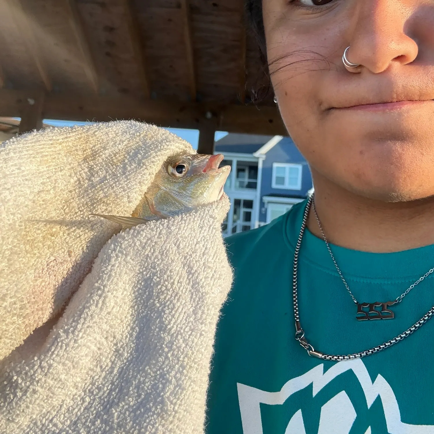 The most recent Pinfish catches on Fishbrain