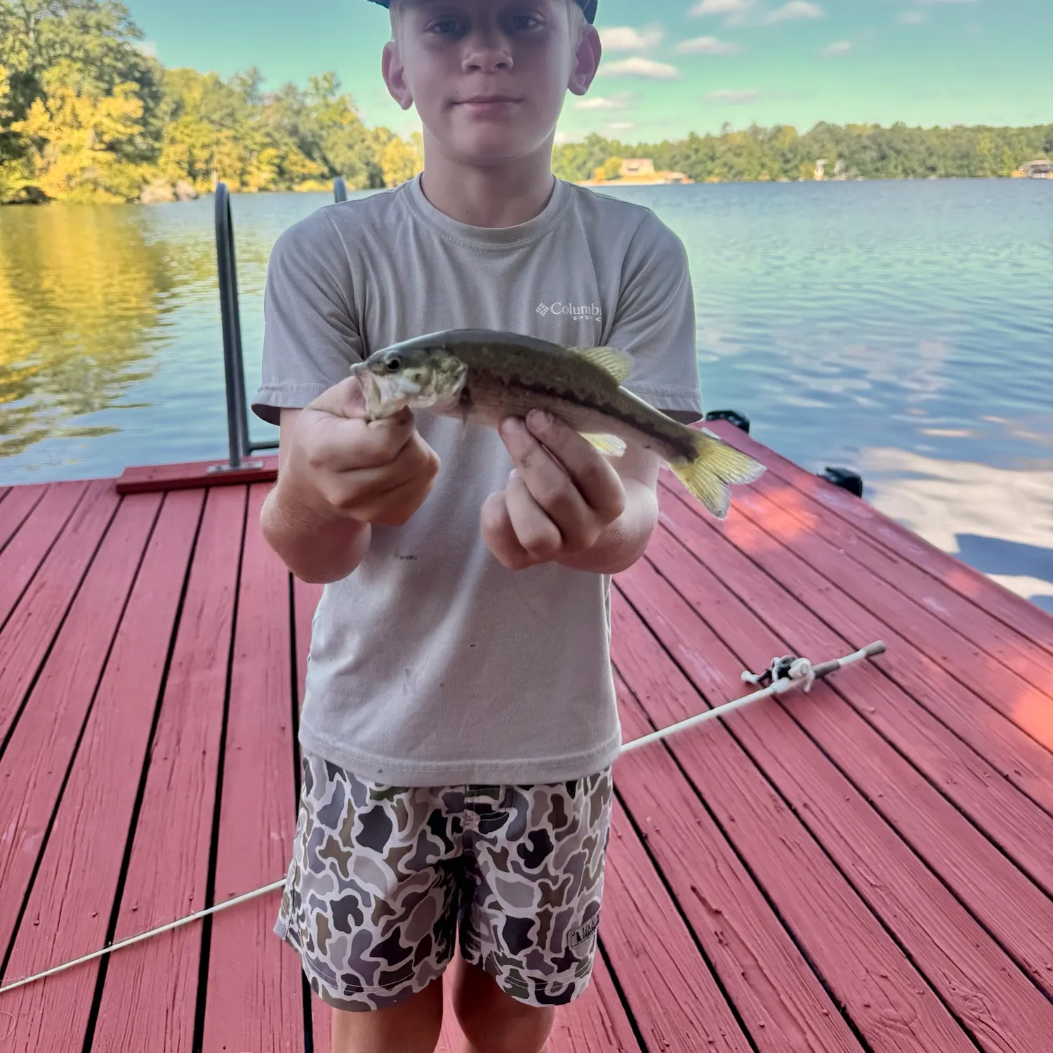 Spotted bass caught on Fishbrain