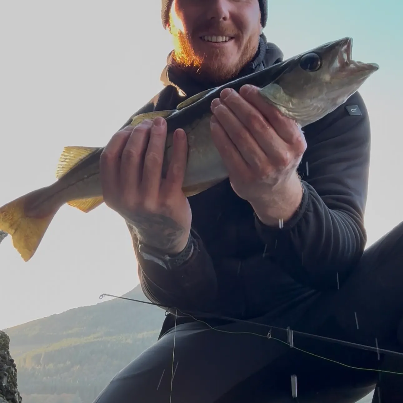 The most recent Alaska pollock catches on Fishbrain