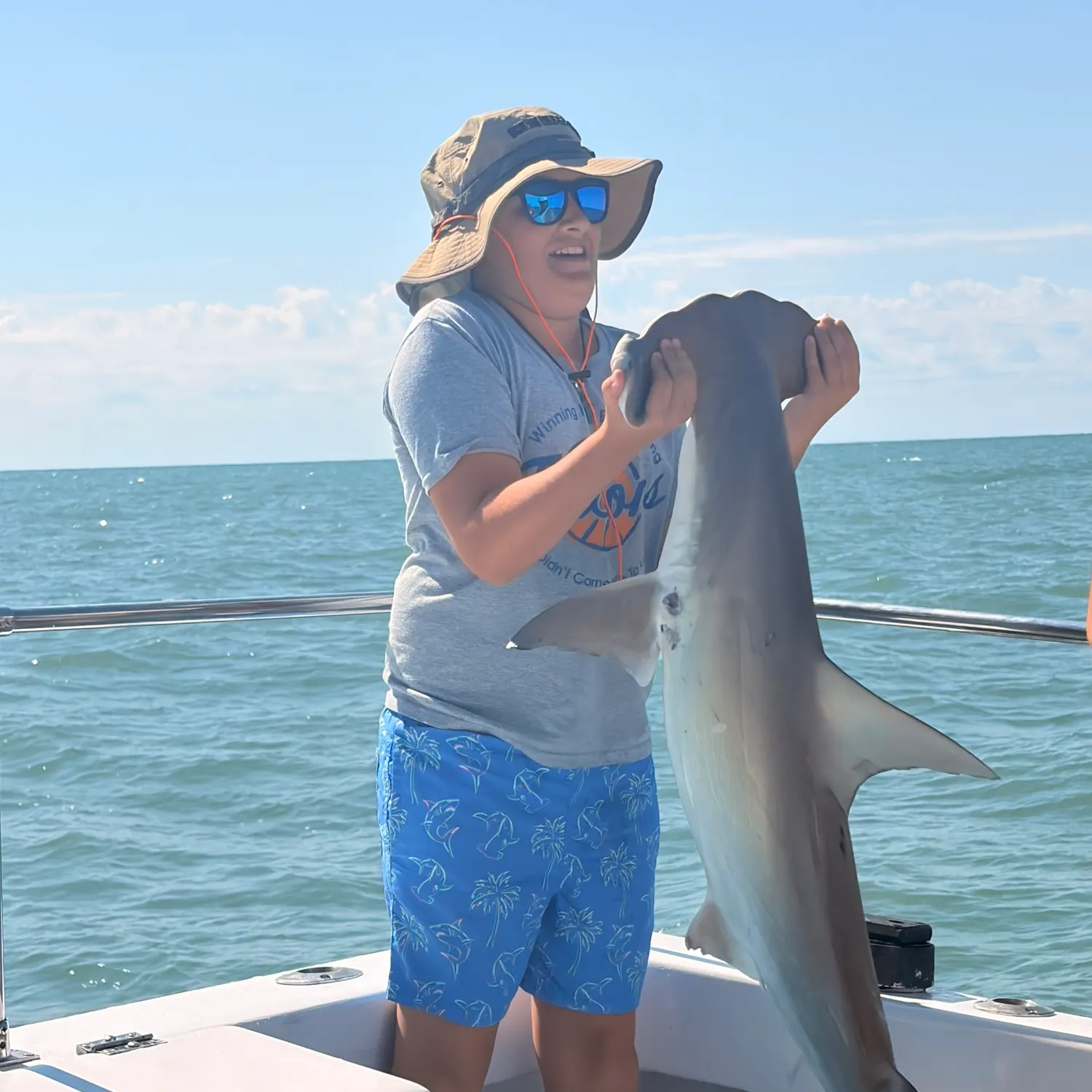 The most recent Scalloped hammerhead shark catches on Fishbrain
