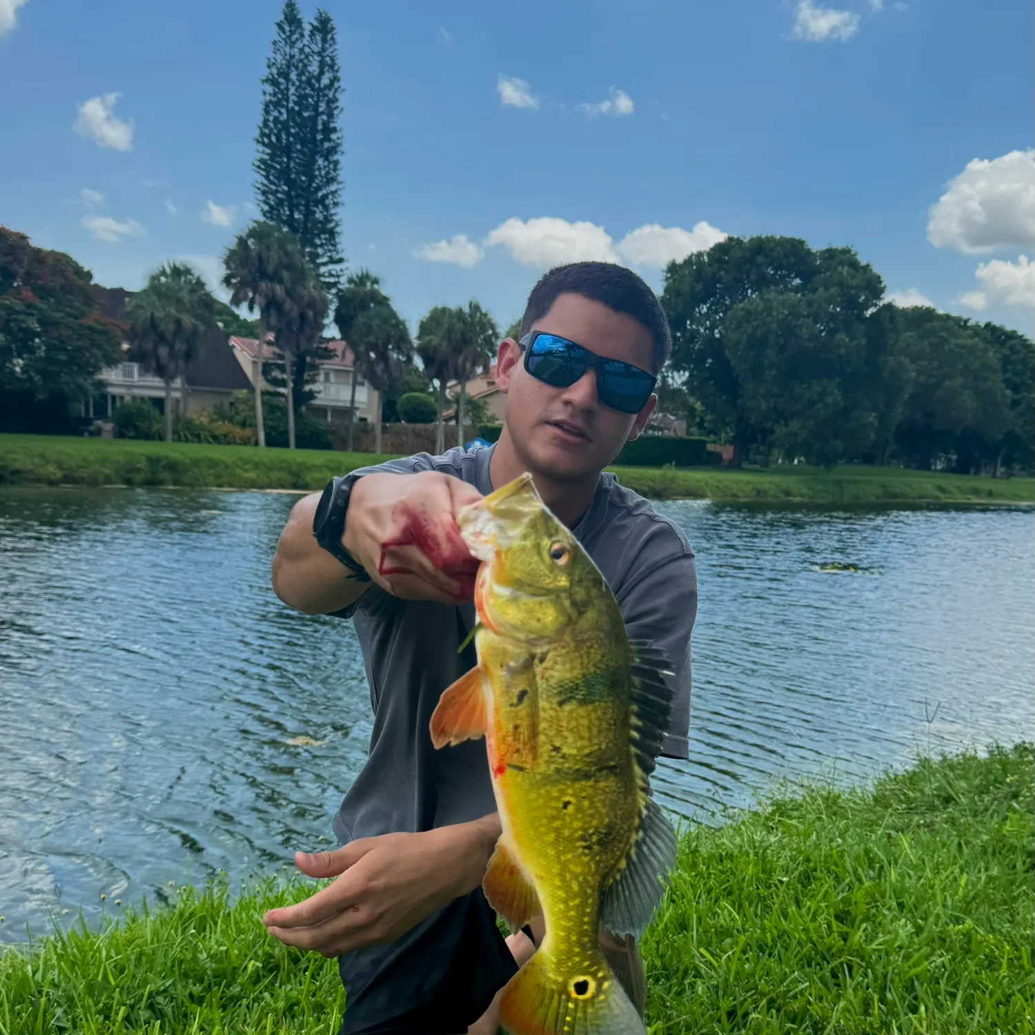 catch