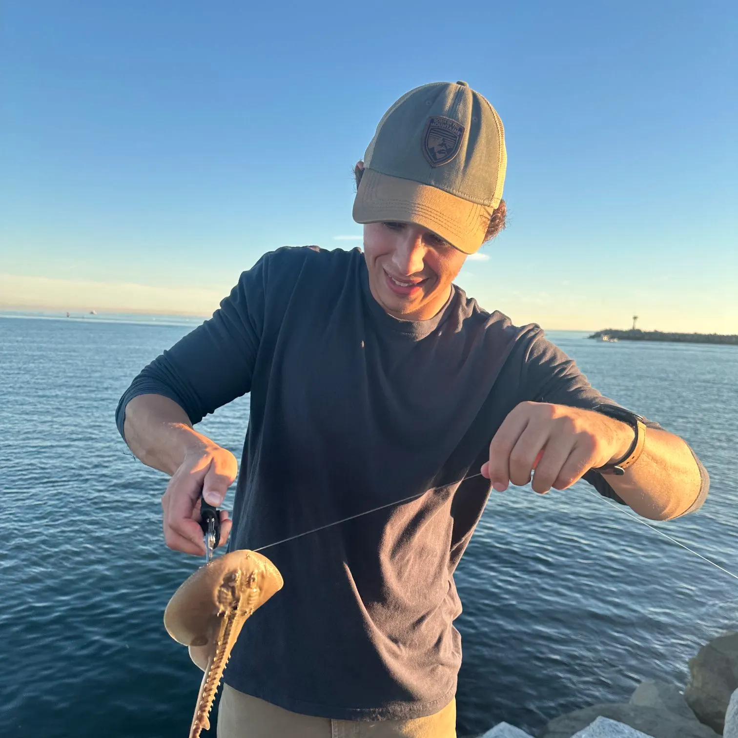 The most recent Thornback ray catches on Fishbrain