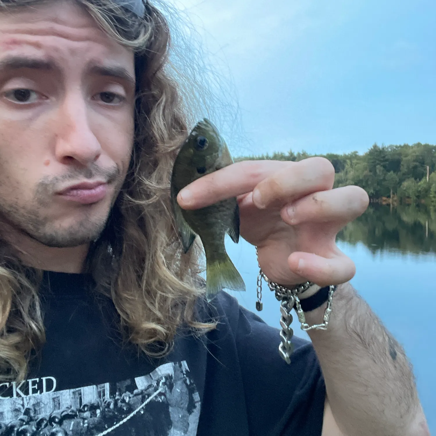 Bluegill caught on Fishbrain